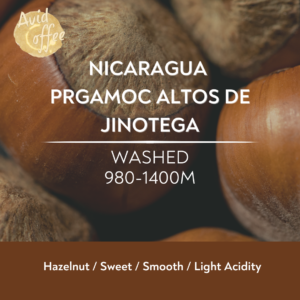 Drip Bag / Nicaragua Prgamoc Altos de Jinotega