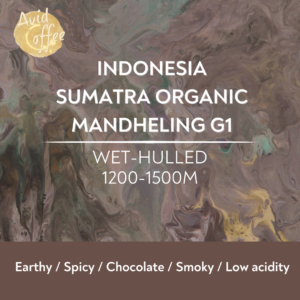 Drip Bag / Sumatra Organic Mandheling G1
