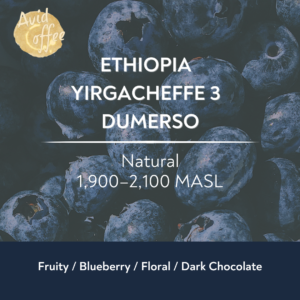 Ethiopia Yirgacheffe 3 Natural DUMERSO