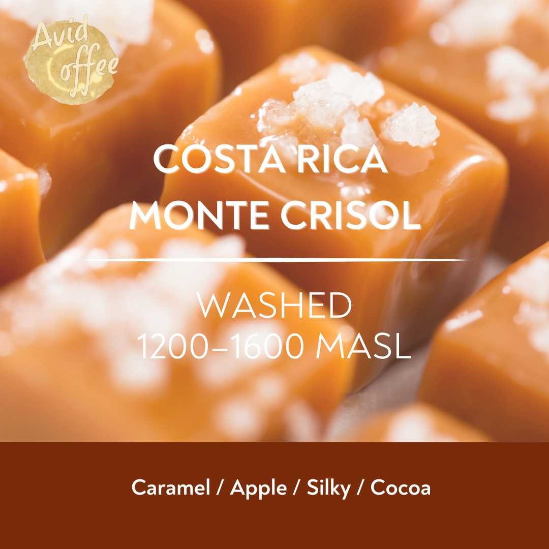 Costa Rica Monte Crisol