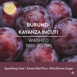 Burundi Kayanza Incuti