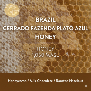 Brazil Cerrado Fazenda Plato Azul – Honey 16+