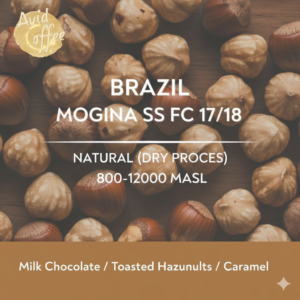 Brazil Mogiana SS FC 17/18