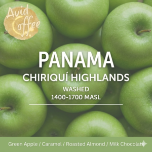 Panama Highlands Caturra-Catuai SHB