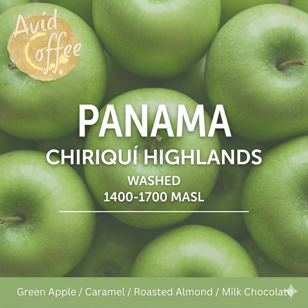 Panama Highlands Caturra-Catuai SHB