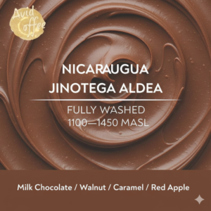 Nicaragua Jinotega ALDEA Conventional